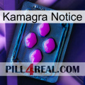 Kamagra Notice 04